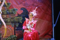 На стадионе «Политехник» театралы организовали пиротехническое шоу (ФОТО)