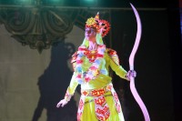 На стадионе «Политехник» театралы организовали пиротехническое шоу (ФОТО)