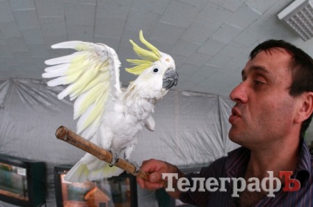 В ГДК поселились экзотические животные (ФОТО)