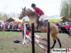 25 сентября. Соревнования по конному спорту в Кременчуге