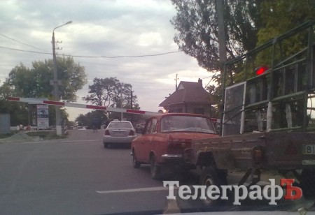 Поїзд їде – воно лізе (ФОТО)