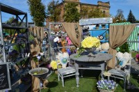 В Кременчуге прошла выставка цветов ко дню города (ФОТО)