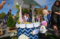 В Кременчуге прошла выставка цветов ко дню города (ФОТО)