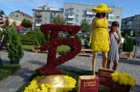 В Кременчуге прошла выставка цветов ко дню города (ФОТО)