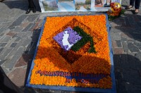 В Кременчуге прошла выставка цветов ко дню города (ФОТО)