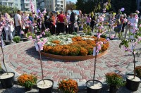 В Кременчуге прошла выставка цветов ко дню города (ФОТО)