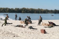 Кременчужанам показали реконструкцию боя освобождения города от немецко-фашистских захватчиков (Видео, фото)