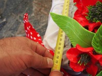 Кременчук і Полтава помірялися тортами