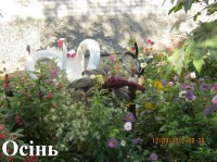 В Кременчуге наградили победителей конкурса клумб (ФОТО)