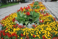 В Кременчуге наградили победителей конкурса клумб (ФОТО)