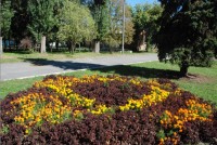 В Кременчуге наградили победителей конкурса клумб (ФОТО)