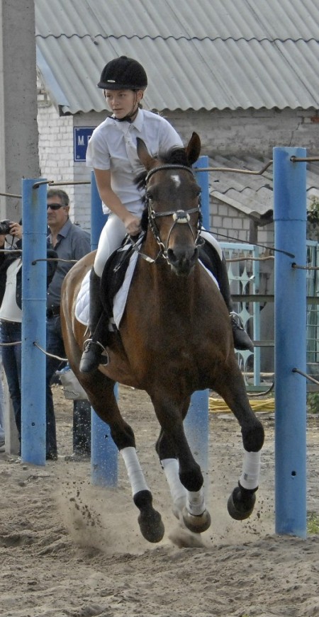 КОННЫЙ СПОРТ. Мария Михалёва выиграла Кубок «Фаворит-2012»