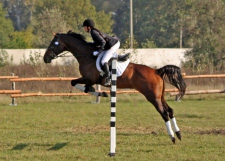 Оксана Андреева – победительница «Кубка конного клуба Silver Foal»