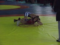 Стартовал чемпионат Украины по греко-римской борьбе