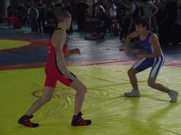 Стартовал чемпионат Украины по греко-римской борьбе