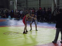 Стартовал чемпионат Украины по греко-римской борьбе