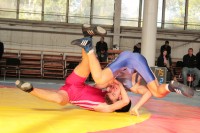 Итоги чемпионата Украины по греко-римской борьбе (ФОТО)