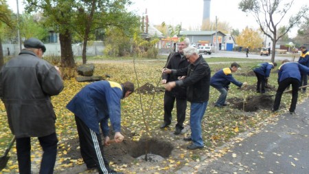 В Кременчуге на Раковке высадили 70 деревьев