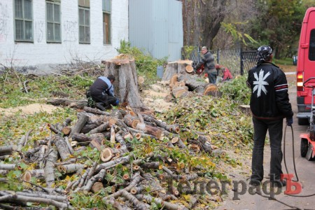 Кто и зачем спилил тополя на ул. Красина