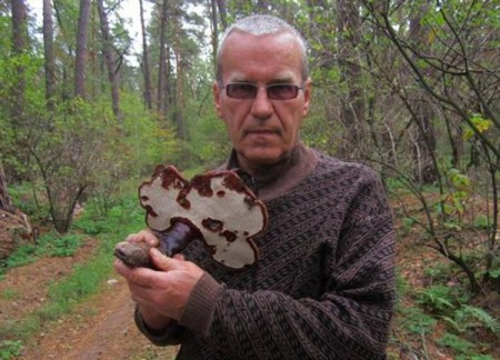 Житель Гадяча нашел в лесу  императорский гриб