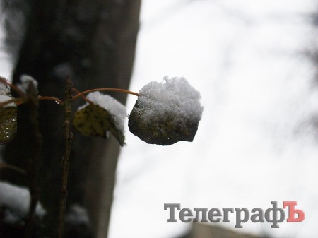 В Кременчуге выпал первый снег