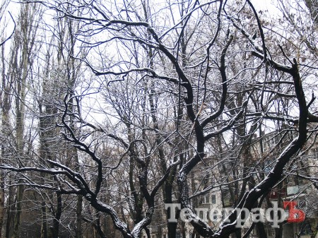 В Кременчуге выпал первый снег