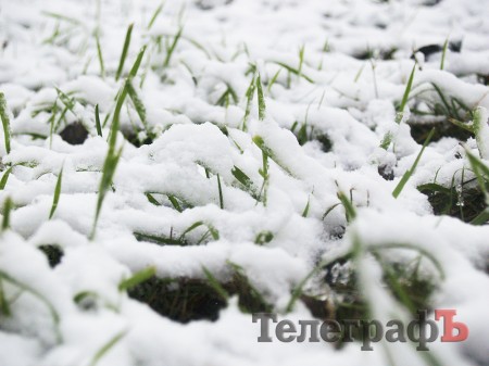 В Кременчуге выпал первый снег