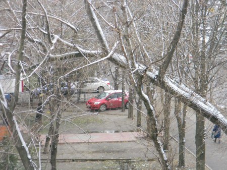 В Кременчуге выпал первый снег