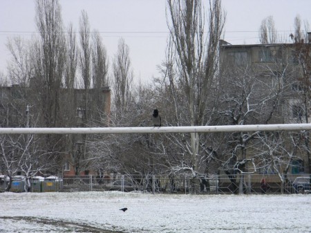 В Кременчуге выпал первый снег