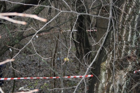 В Кременчуге в лесополосе нашли тело младенца
