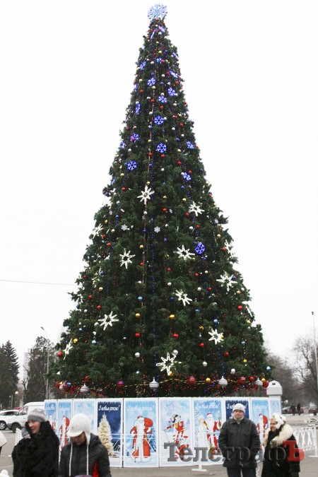 Хит-парад новогодних елок в Кременчуге