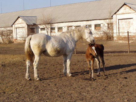У кременчуцької школи «Фаворит» новий директор і старі проблеми