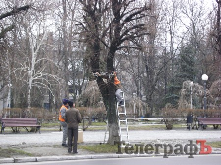 В Кременчуге разбирают главную новогоднюю елку