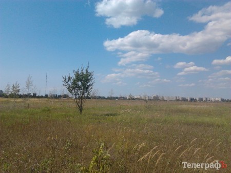 «Если парк «Депутатский», пусть депутаты сбросятся по 1000 грн на деревья. Но не из бюджета» - о сомнительном проекте на 70 млн грн