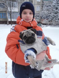 Як «ТелеграфЪ» знаходить тваринам господарів