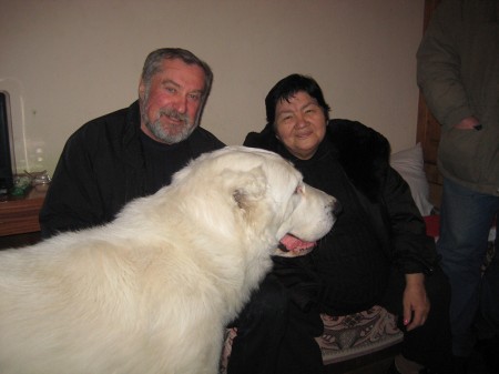 Питомник САО «Туркмен Випа-Ит» предлагает чистокровных щенков туркменских волкодавов (Алабай)