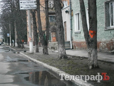 В День Святого Валентина неизвестный возлюбленный обрисовал сердцами улицу Коцюбинского