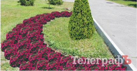 Який вигляд матимуть клумби в Кременчуці