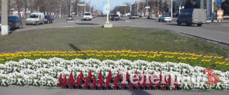 Який вигляд матимуть клумби в Кременчуці