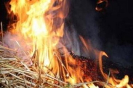 В Садках сгорело 50 тонн соломы