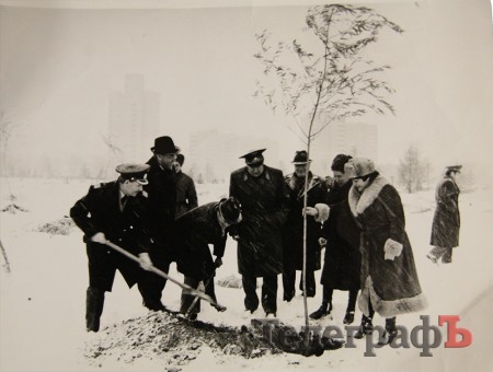 «Усе озеленення міста – справа моїх рук», - ветеран Павло Шестаков про Кременчук