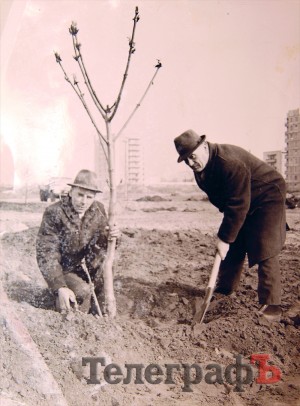 «Усе озеленення міста – справа моїх рук», - ветеран Павло Шестаков про Кременчук