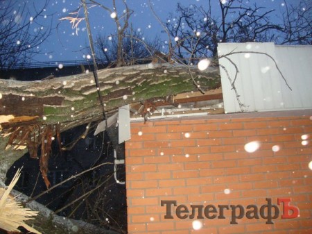 Из-за сильного ветра в Кременчуге большое дерево завалилось на магазин