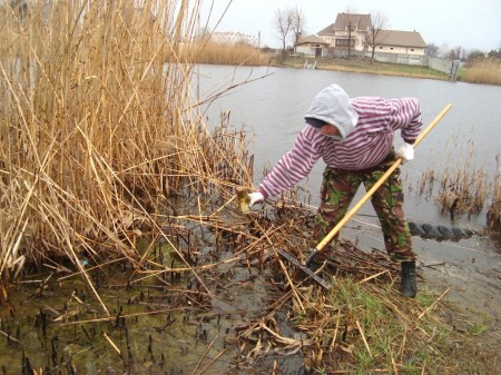 Кременчужане убрали берег Кагамлыка в районе 31-й школы