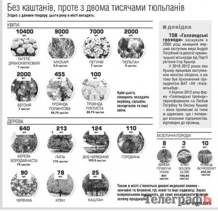 Кроме тюльпанов на кременчугских клумбах зацветут гибискусы и георгины