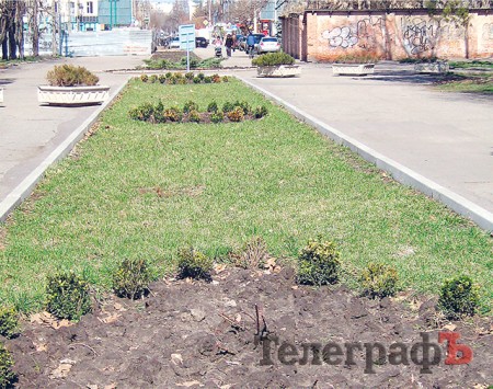 Як закопують гроші кременчужан