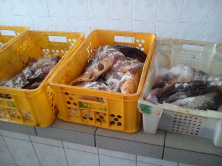 На кременчугских рынках изъяли 200 кг «левой» рыбы