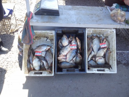На кременчугских рынках изъяли 200 кг «левой» рыбы
