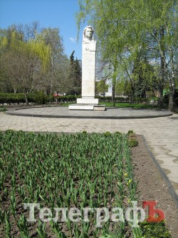На бульваре Пушкина сажают самшит и крадут тюльпаны