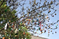 В Кременчуге «выросло» Пасхальное дерево, украшенное писанками